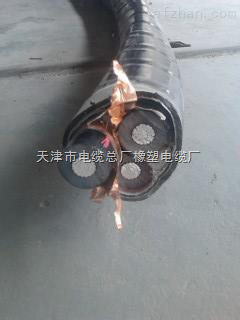 高压电缆YJLV铝芯线YJLV 8.7/10KV