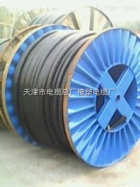 耐火电缆—NH-YJV 2*6 2*10 2*16 定做