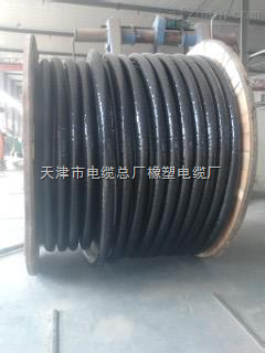 天津橡塑电缆总厂咨询电话