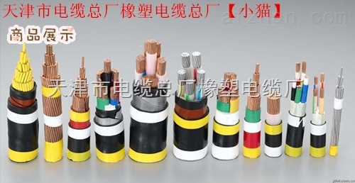 RS-4851*5*1.5 天津数据线批发