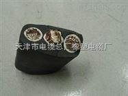 天车扁平电缆线