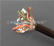 铜带编织 分屏 总屏 DJYPVP 计算机电缆销售