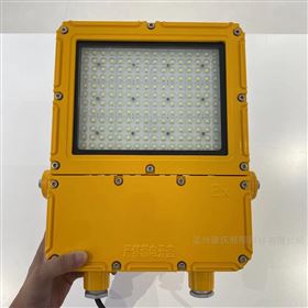 SW8120防爆投光燈、SZSW8120防爆LED泛光燈