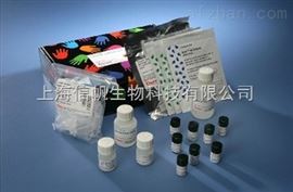 過氧化物酶（POD）試劑盒