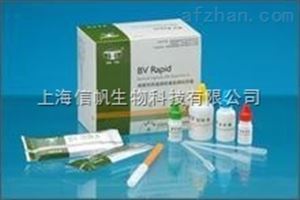 過氧化氫酶（CAT）試劑盒