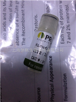 葡聚糖凝膠QAE-A25