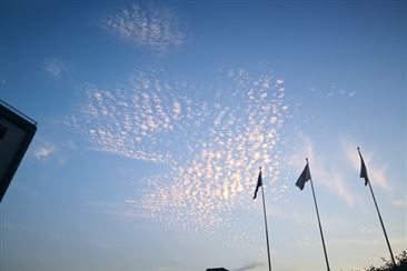 多场景应用 政务无人机重塑政务服务