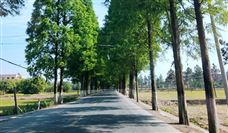 �г�����ܾ���׼����һ����Ҫ���ұ�׼ �漰��ɫ��̼����ȫ�����ȷ���