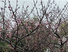  ������Ӧ�������֣�ê����ȫĿ�� ��ʵ������� ��ʵ��������д����Ӧ��������ƪ��