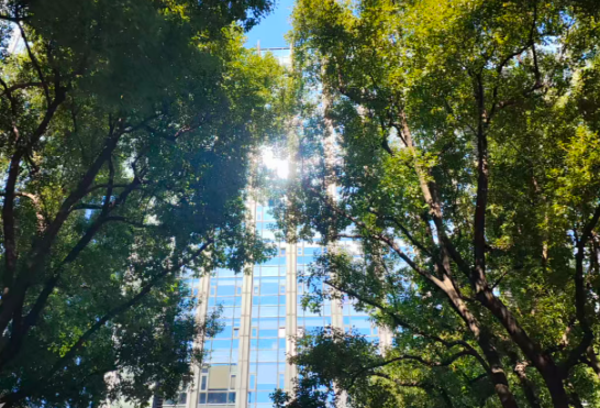 技术突破＋商业铺展，浦东加速构建人形机器人产业全链路闭环