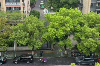 三问+一图，读懂《关于开展规范废旧动力电池回收利用联合执法专项行动的通知》