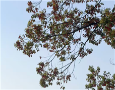 ����ʡ�ߺϷ���ס�����罨��ϵͳ2026�ꡰ��ȫ�����¡����ʽ����