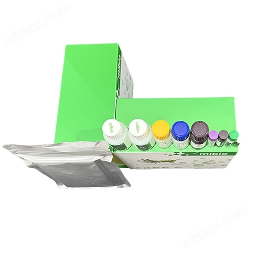 Kit humano 96t de Péptido similar al glucagón 2 (glp - 2)