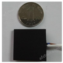 熱流傳感器 型號:TX111-PTT-30