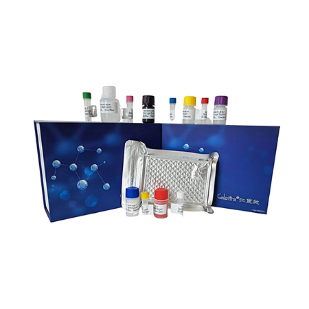 上海晶抗生物人ELISA試劑盒嗨購(gòu)活動(dòng)火熱開啟，